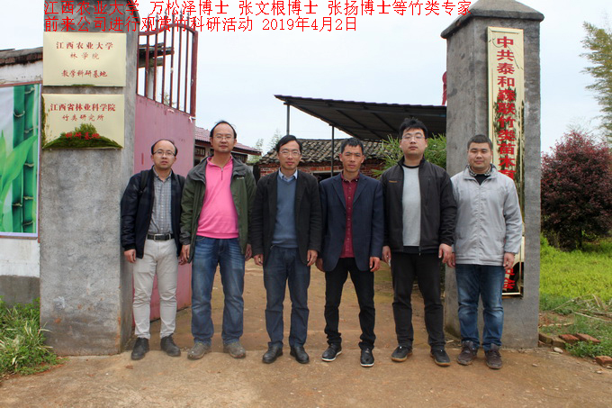 江西農(nóng)業(yè)大學(xué)竹類專家前來公司進(jìn)行觀賞竹科研活動