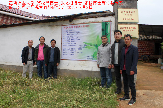 江西農(nóng)業(yè)大學(xué)竹類專家前來公司進(jìn)行觀賞竹科研活動